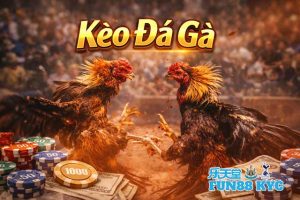 World Cup 2026 bao nhiêu đội、Nhận định bóng đá、Tỷ lệ kèo WC、Kèo rung WC Kèo Đá Gà KUBET: Hướng Dẫn Bắt Kèo Chuẩn Theo Kinh Nghiệm Bet Thủ