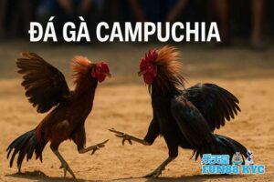 World Cup 2026 bao nhiêu đội、Nhận định bóng đá、Tỷ lệ kèo WC、Kèo rung WC Đá Gà Campuchia KUBET: Sân Chơi Nghìn Tỷ Đầy Hấp Lực