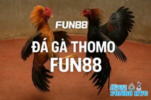 World Cup 2026 bao nhiêu đội、Nhận định bóng đá、Tỷ lệ kèo WC、Kèo rung WC Đá Gà Thomo KUBET – Diễn Biến Nóng Liên Tục Tạo Nên Sức Hút 